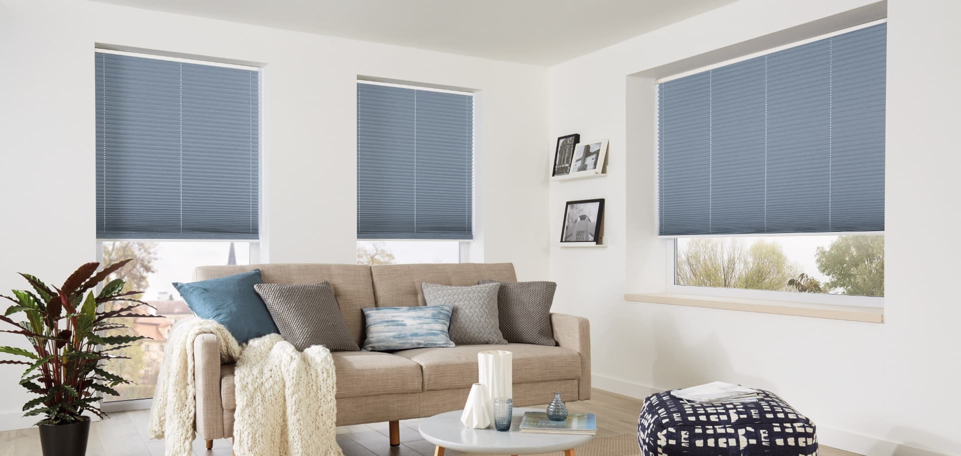Premium Blinds Collection